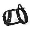 Easy Walk Silver Edition Black