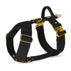 Easy Walk Extreme Gold Edition Black