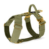 Easy Walk Extreme Gold Edition Olive Green