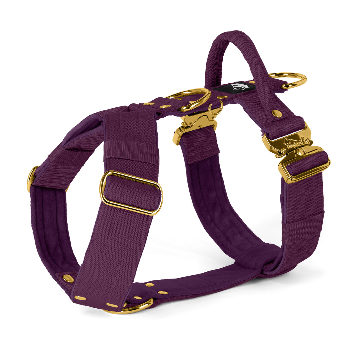 Easy Walk Extreme Gold Edition Plum
