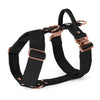 Easy Walk Extreme Rose Edition Black