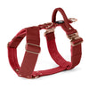Easy Walk Extreme Rose Edition Raspberry Red