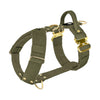 Easy Walk Extreme Gold Buckle Khaki - Sele med snabbspänne