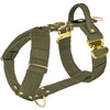 Easy Walk Extreme Gold Buckle Khaki - Sele med snabbspänne