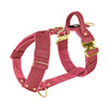 Easy Walk Extreme Gold Buckle Raspberry Red - Sele med snabbspänne