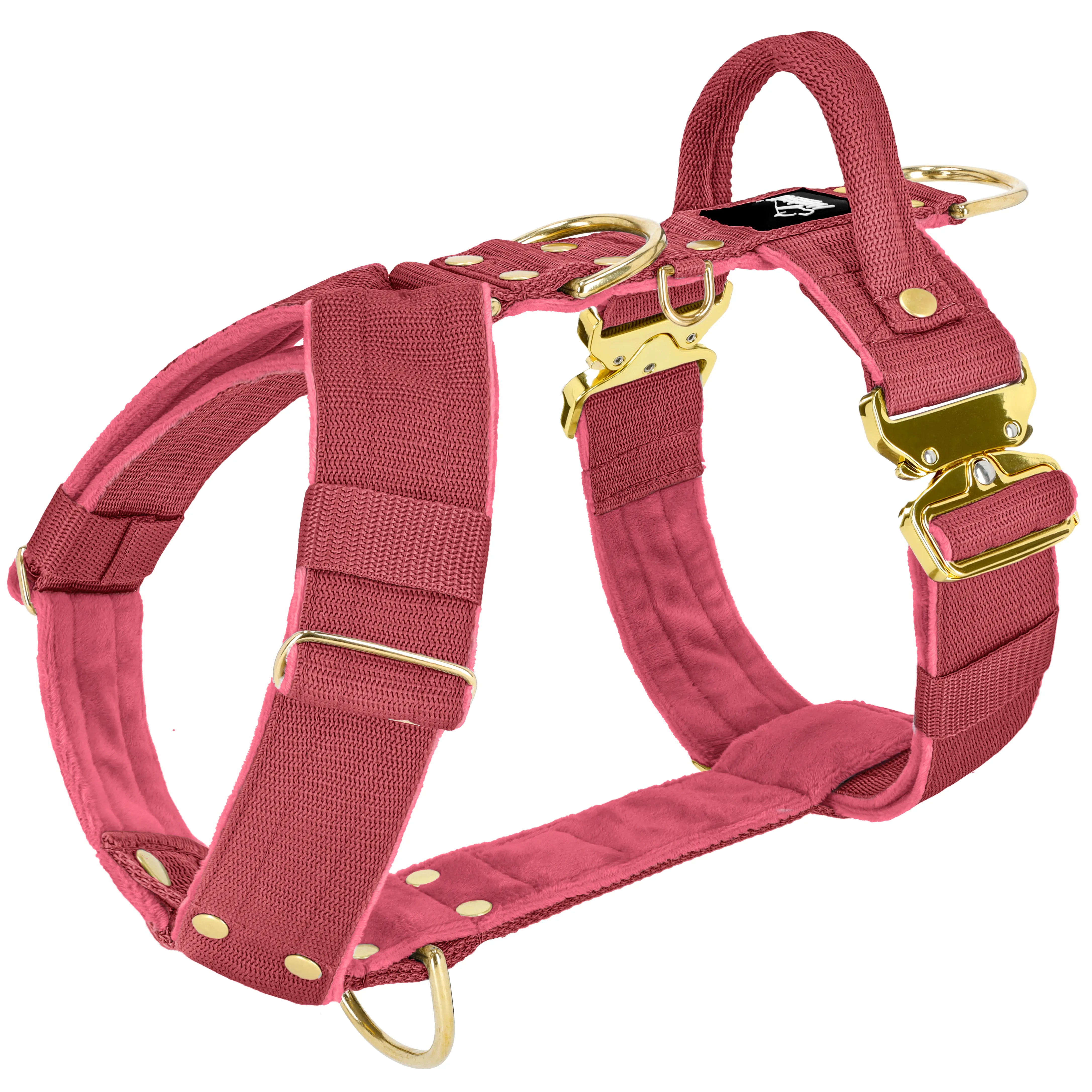 Easy Walk Extreme Gold Buckle Raspberry Red - Sele med snabbspänne