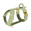 Easy Walk Extreme Gold Buckle Olive Green - Sele med snabbspänne