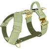 Easy Walk Extreme Gold Buckle Olive Green - Sele med snabbspänne