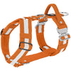 Easy Walk Extreme Safe Orange - Sele med reflex & snabbspänne