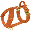 Easy Walk Extreme Gold Buckle Burned Orange - Sele med snabbspänne