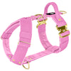 Easy Walk Extreme Gold Buckle Candy Pink - Sele med snabbspänne