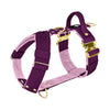 Easy Walk Extreme Gold Buckle Plum - Sele med snabbspänne