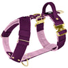 Easy Walk Extreme Gold Buckle Plum - Sele med snabbspänne