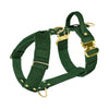 Easy Walk Extreme Gold Buckle Forest Green - Sele med snabbspänne