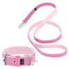 Active Set Baby Pink  - Active halsband & koppel