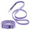 Active Set Baby Purple - Active halsband & koppel