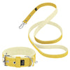 Active Set Baby Yellow - Active halsband & koppel