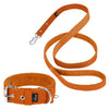 Active Set Orange  - Active halsband & koppel