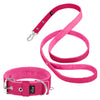 Active Set Rosa - Active halsband & koppel