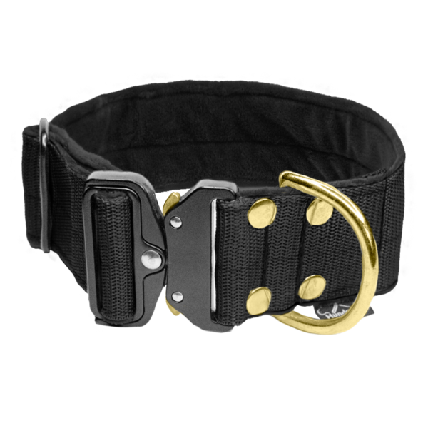 Extreme Buckle Golden Edition