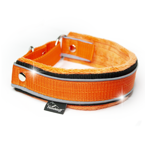 Martingale Safe Orange – Brett fodrat halsband halvstryp med reflex