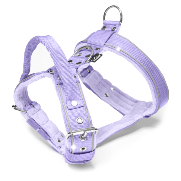 Easy Walk Safe Baby Purple – Sele med reflex