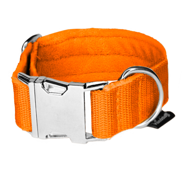 Easy Clip Orange – Reglerbart halsband med knäppspänne