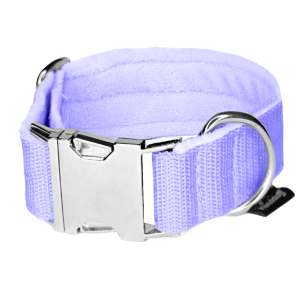 Easy Clip Baby Purple- Reglerbart halsband med knäppspänne