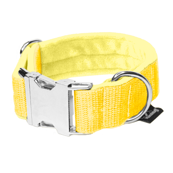 Easy Clip Baby Yellow – Reglerbart halsband med knäppspänne