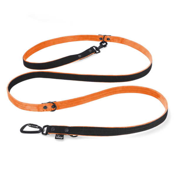 Multileash Black Edition Orange – Starkt justerbart multikoppel