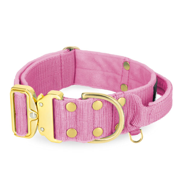 Extreme Gold Buckle Candy Pink – Starkt och säkert halsband