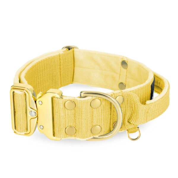 Extreme Gold Buckle Gold Yellow  – Starkt och säkert halsband