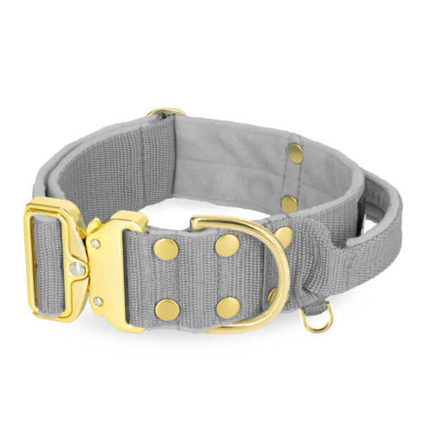 Easy Clip Golden Gold Yellow – Reglerbart halsband med knäppspänne