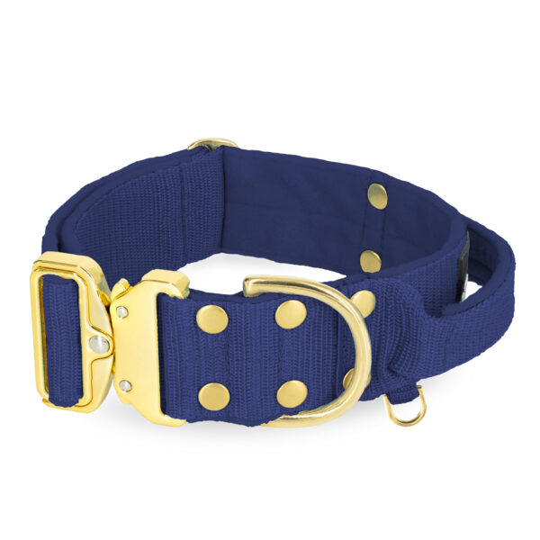 Extreme Gold Buckle Navy Blue – Starkt och säkert halsband