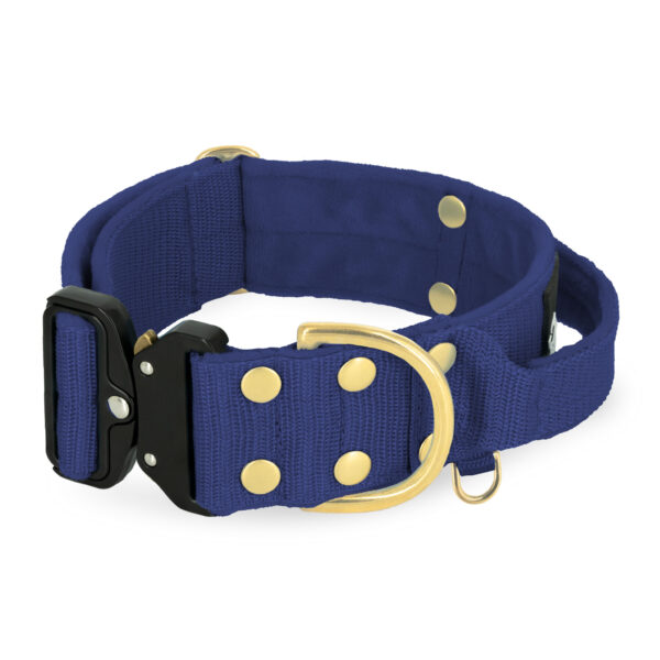 Extreme Buckle Golden Navy Blue – Starkt och säkert halsband