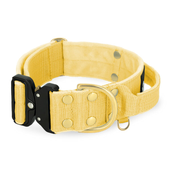 Extreme Buckle Golden Gold Yellow – Starkt och säkert halsband