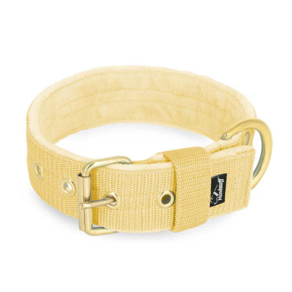 Active Golden Gold Yellow – Brett slitstarkt halsband med spänne