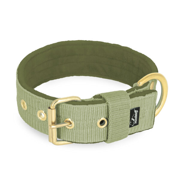 Active Golden Olive Green – Brett slitstarkt halsband med spänne