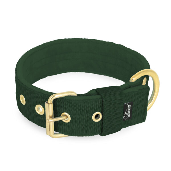 Active Golden Forest Green – Brett slitstarkt halsband med spänne