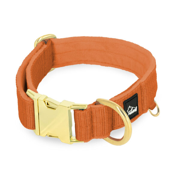 Easy Clip Golden Burned Orange – Reglerbart halsband med knäppspänne