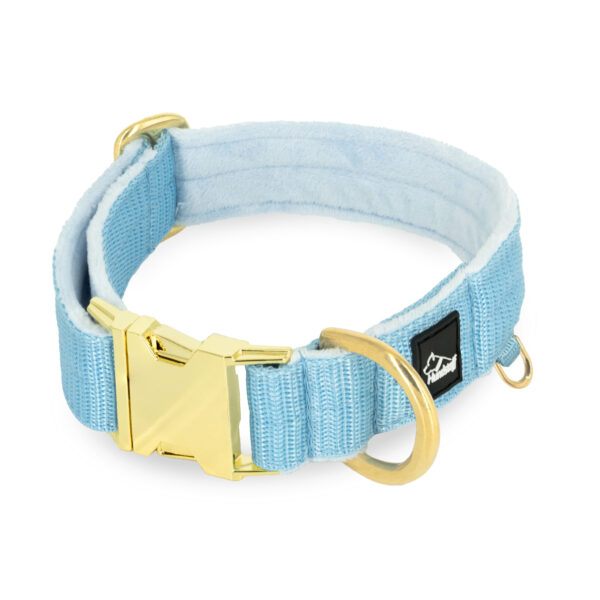 Easy Clip Golden Baby Blue – Reglerbart halsband med knäppspänne