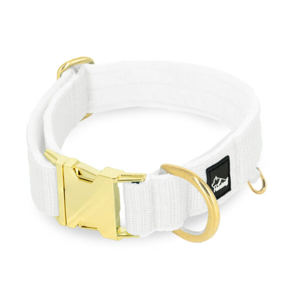 Easy Clip Golden Vit – Reglerbart halsband med knäppspänne