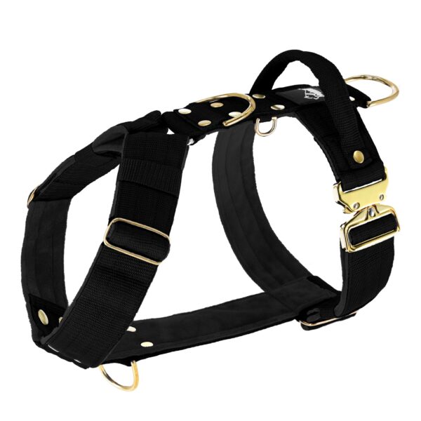 Easy Walk Extreme Gold Buckle