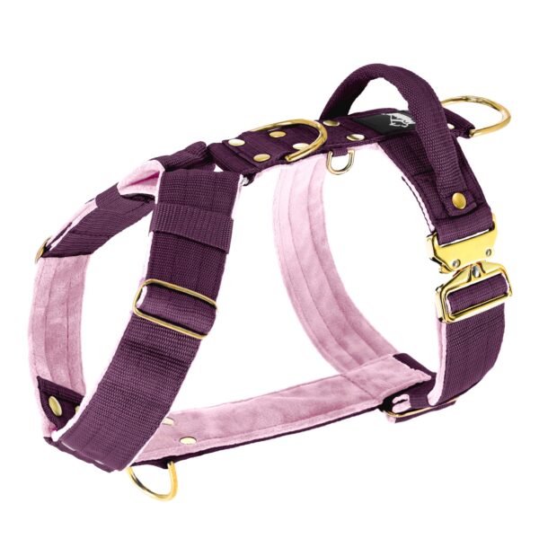 Active Baby Purple – Brett slitstarkt halsband med spänne