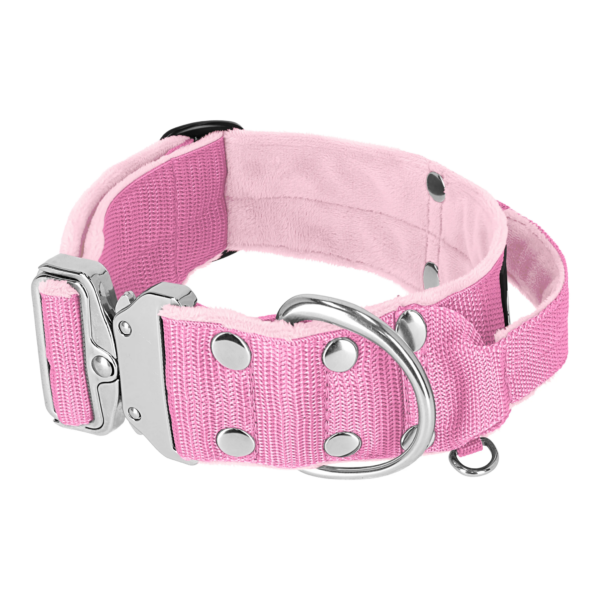 Extreme Silver Buckle Baby Pink – Starkt och säkert halsband