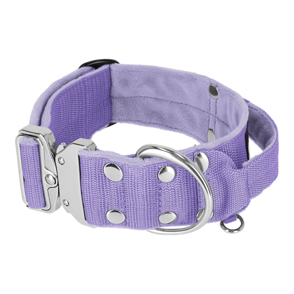 Extreme Silver Buckle Baby Purple – Starkt och säkert halsband