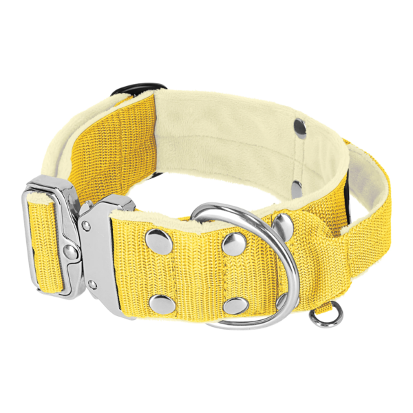 Extreme Silver Buckle Baby Yellow – Starkt och säkert halsband