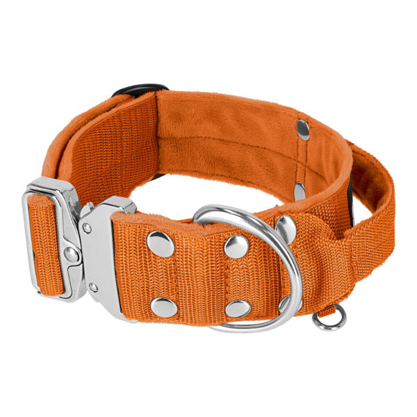 Extreme Silver Buckle Orange – Starkt och säkert halsband