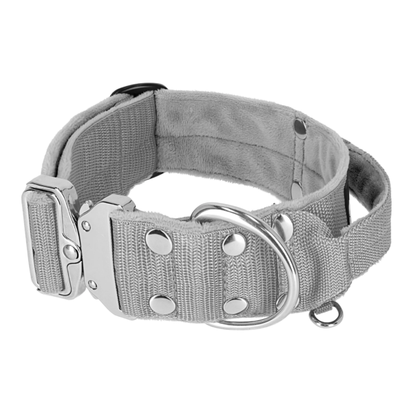 Extreme Silver Buckle Grey – Starkt och säkert halsband