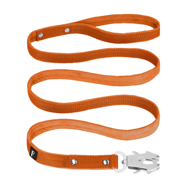 Walk Leash Orange – Säkert nylonkoppel i olika längder